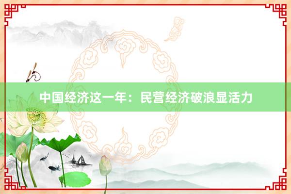中国经济这一年：民营经济破浪显活力