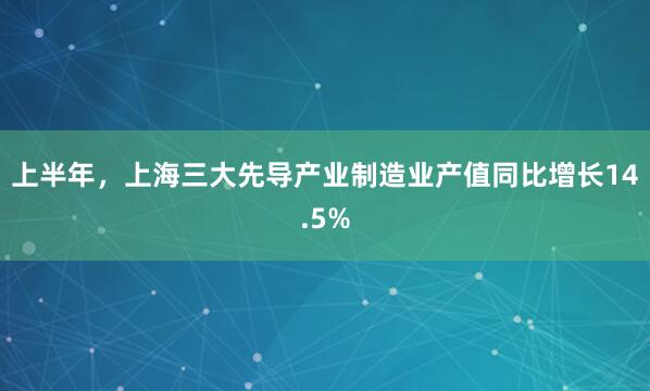 上半年，上海三大先导产业制造业产值同比增长14.5%