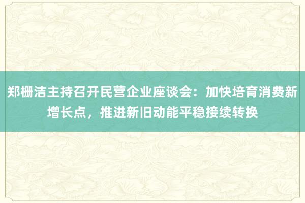郑栅洁主持召开民营企业座谈会：加快培育消费新增长点，推进新旧动能平稳接续转换
