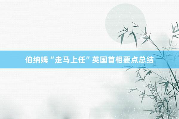 伯纳姆“走马上任”英国首相要点总结