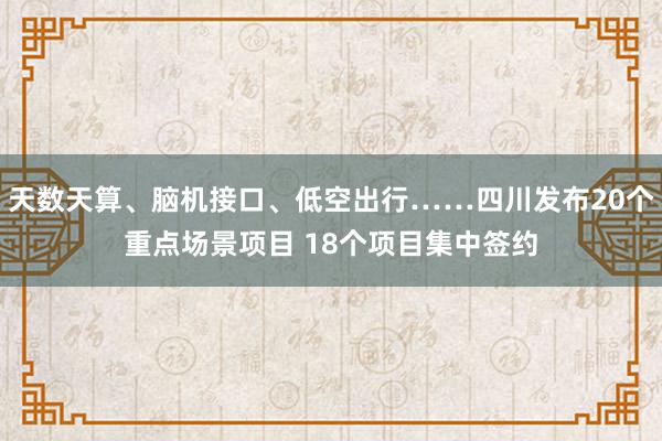 天数天算、脑机接口、低空出行……四川发布20个重点场景项目 18个项目集中签约
