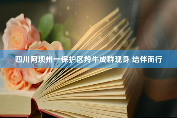四川阿坝州一保护区羚牛成群现身 结伴而行