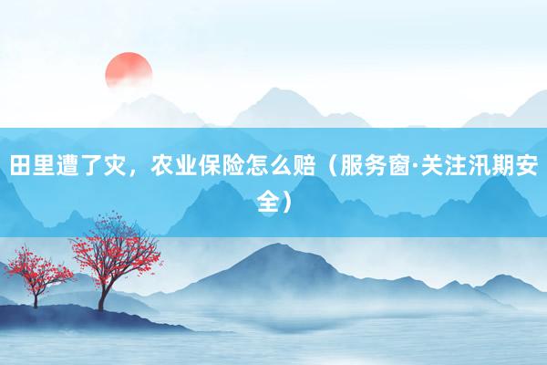 田里遭了灾，农业保险怎么赔（服务窗·关注汛期安全）