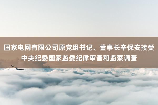 国家电网有限公司原党组书记、董事长辛保安接受中央纪委国家监委纪律审查和监察调查