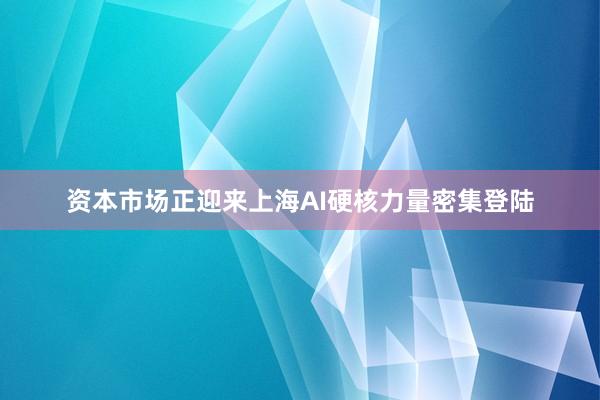 资本市场正迎来上海AI硬核力量密集登陆