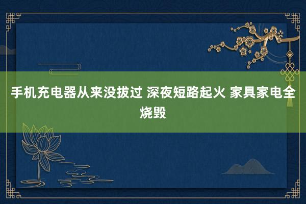 手机充电器从来没拔过 深夜短路起火 家具家电全烧毁