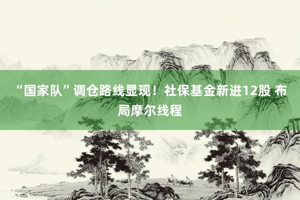 “国家队”调仓路线显现！社保基金新进12股 布局摩尔线程