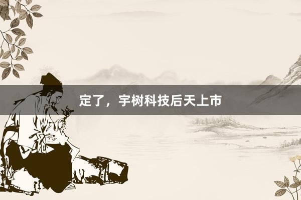 定了，宇树科技后天上市