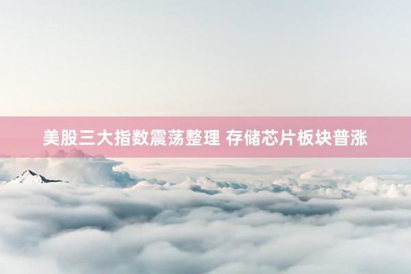 美股三大指数震荡整理 存储芯片板块普涨