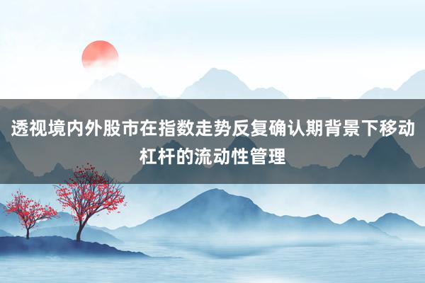 透视境内外股市在指数走势反复确认期背景下移动杠杆的流动性管理
