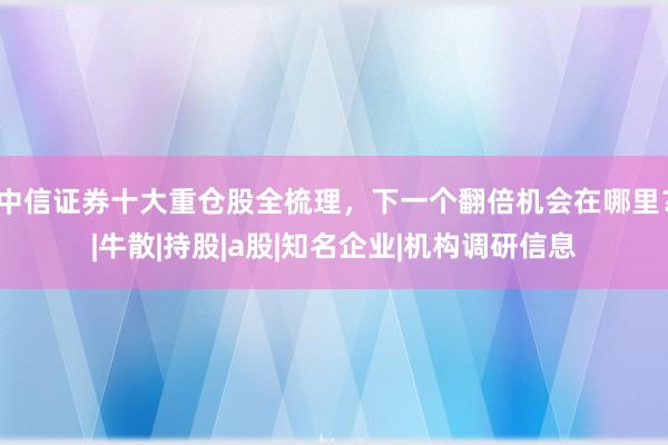 中信证券十大重仓股全梳理，下一个翻倍机会在哪里？|牛散|持股|a股|知名企业|机构调研信息