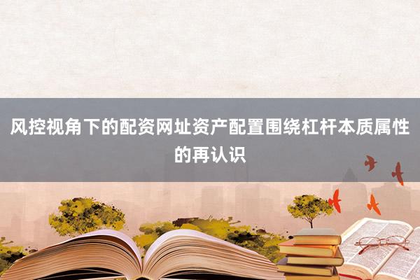 风控视角下的配资网址资产配置围绕杠杆本质属性的再认识