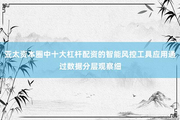 亚太资本圈中十大杠杆配资的智能风控工具应用通过数据分层观察细