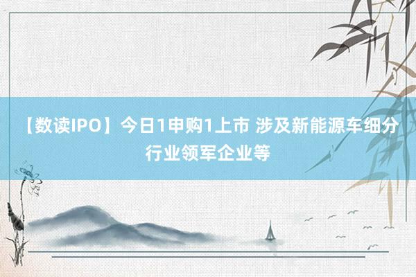 【数读IPO】今日1申购1上市 涉及新能源车细分行业领军企业等