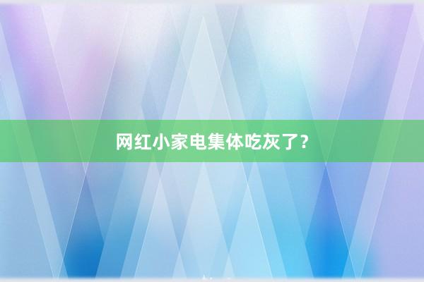 网红小家电集体吃灰了？