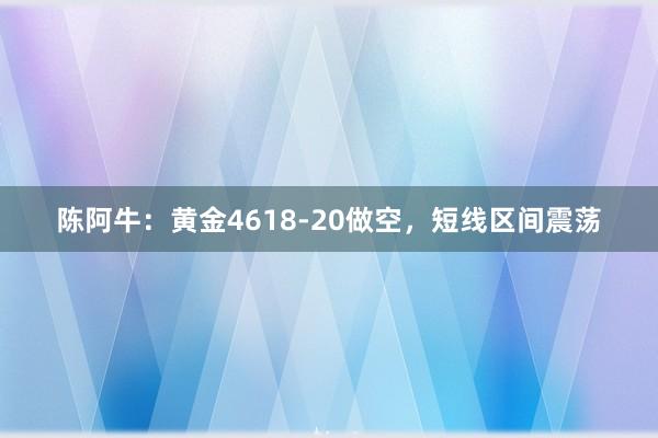 陈阿牛：黄金4618-20做空，短线区间震荡