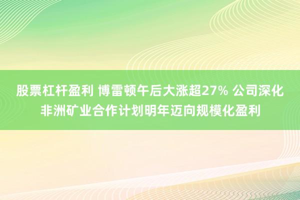 股票杠杆盈利 博雷顿午后大涨超27% 公司深化非洲矿业合作计划明年迈向规模化盈利