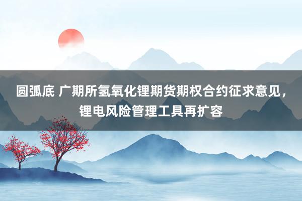 圆弧底 广期所氢氧化锂期货期权合约征求意见，锂电风险管理工具再扩容