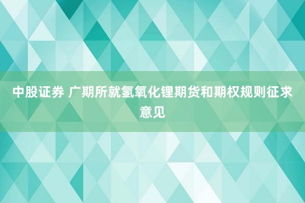 中股证券 广期所就氢氧化锂期货和期权规则征求意见