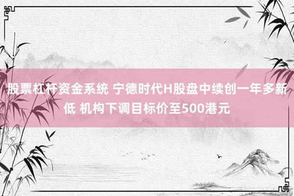 股票杠杆资金系统 宁德时代H股盘中续创一年多新低 机构下调目标价至500港元