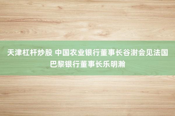 天津杠杆炒股 中国农业银行董事长谷澍会见法国巴黎银行董事长乐明瀚