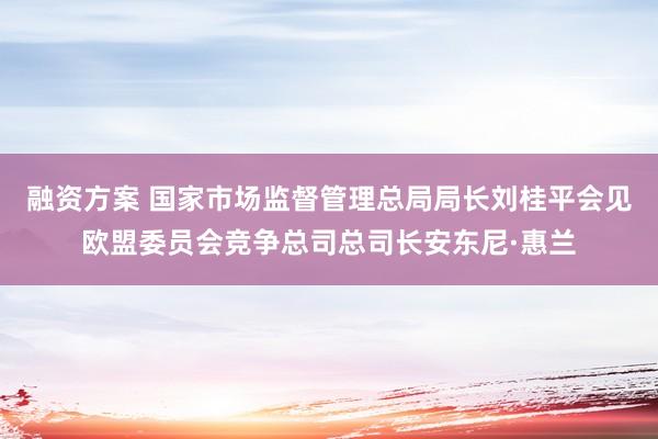 融资方案 国家市场监督管理总局局长刘桂平会见欧盟委员会竞争总司总司长安东尼·惠兰