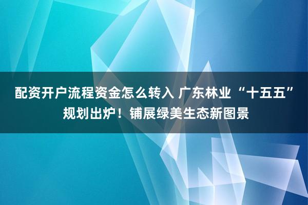 配资开户流程资金怎么转入 广东林业 “十五五” 规划出炉！铺展绿美生态新图景